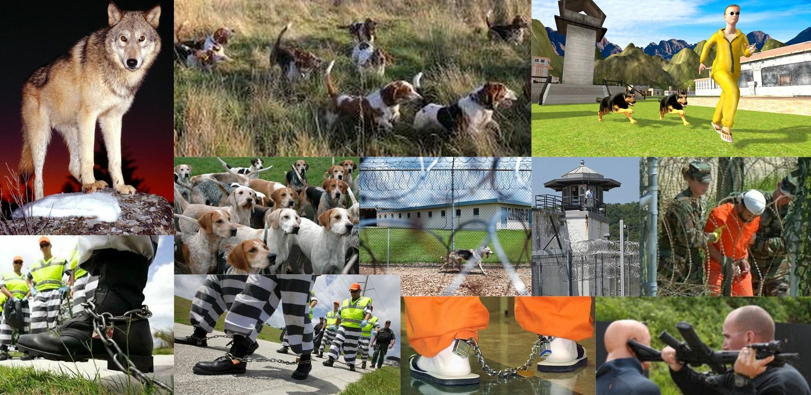 Commence Visualizing! width=