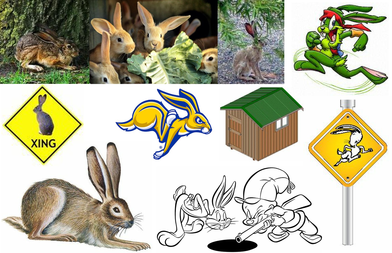 Commence Visualizing! width=