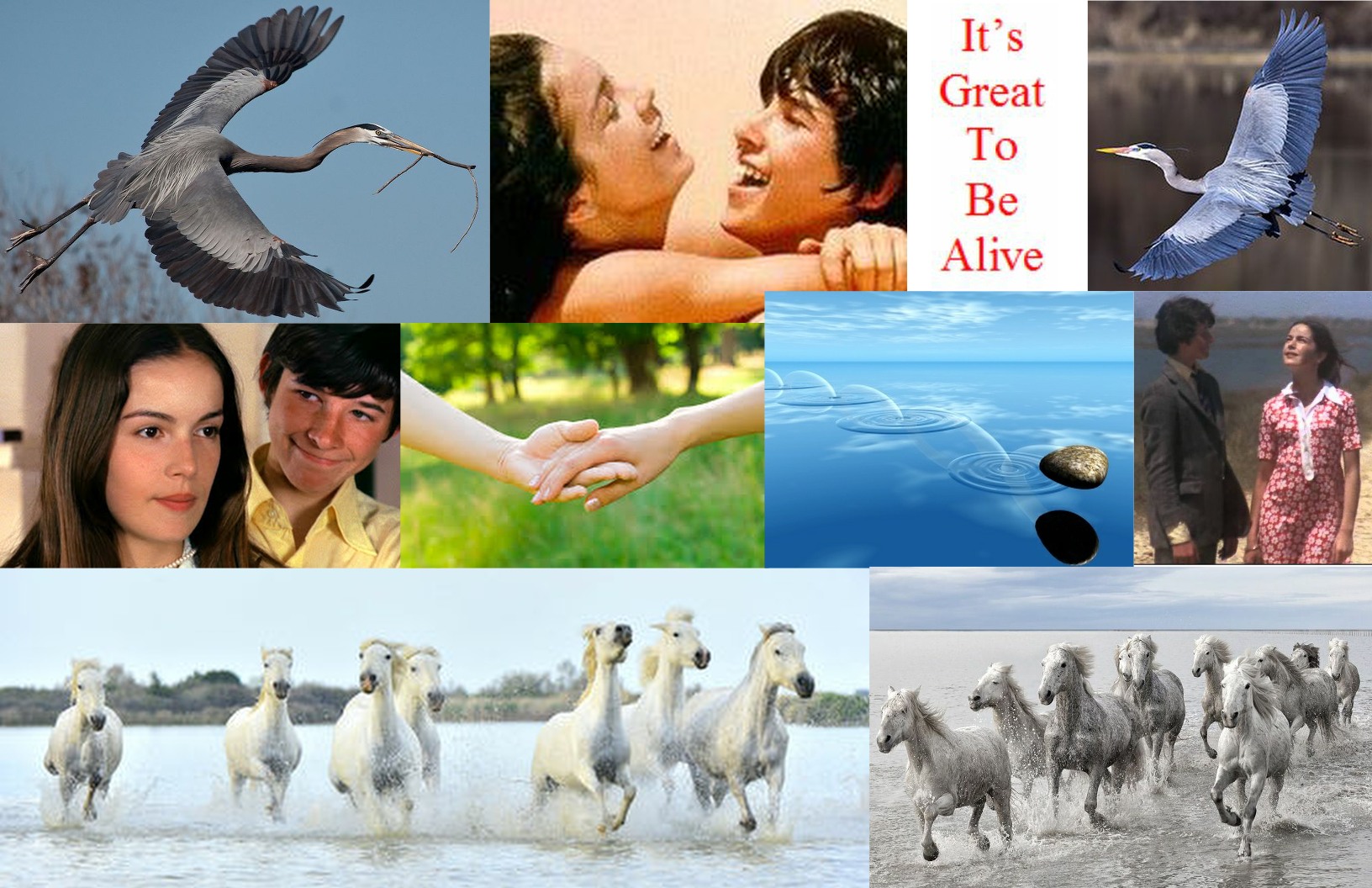 Commence Visualizing! width=