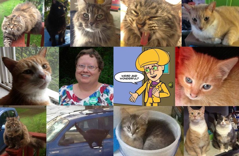 Betty And The Pets! width=