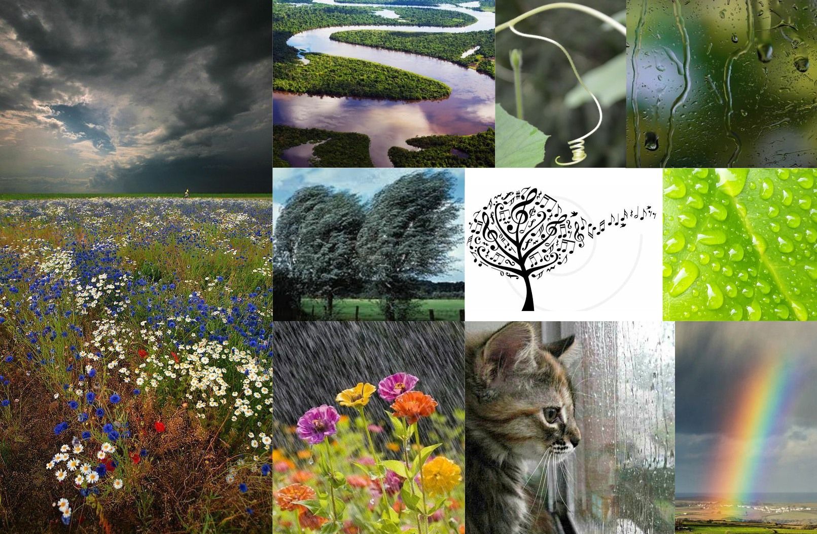 Commence Visualizing! width=