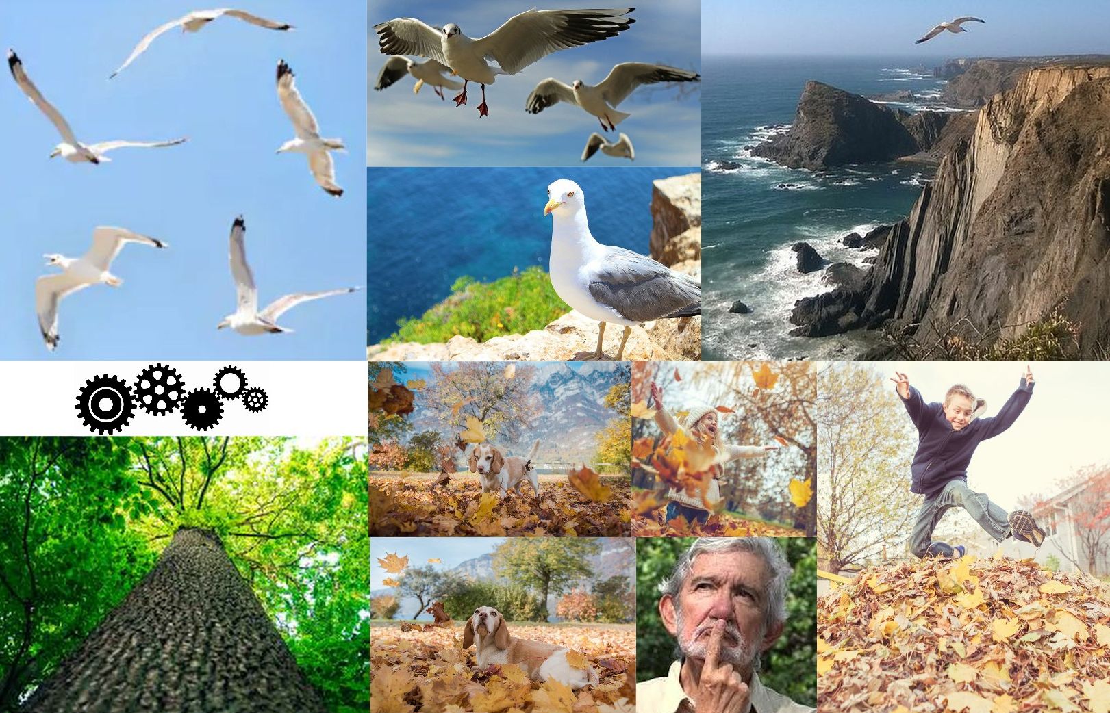 Commence Visualizing! width=