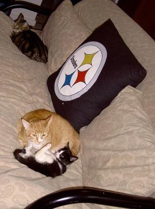 Go Steelers!