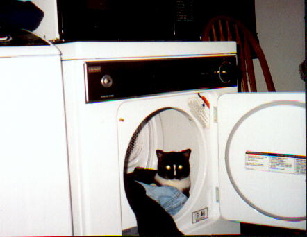 I'm dry and fluffy now!