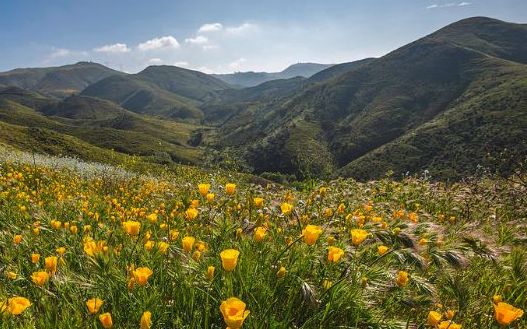 Commence Visualizing!