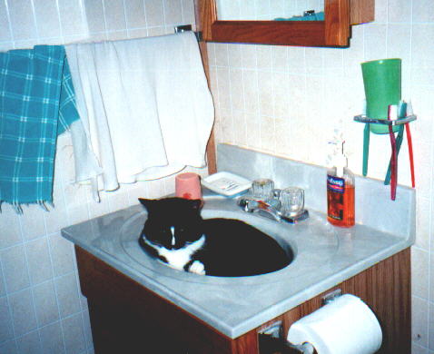 Brush Your Teeth Later!